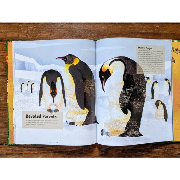 Incredible Animals Kids Book Hardbound Educational 8-12 Years Barefoot Books - Picture 7 of 11